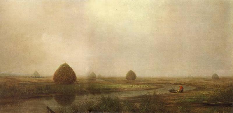 Martin Johnson Heade Jersey Marshes China oil painting art